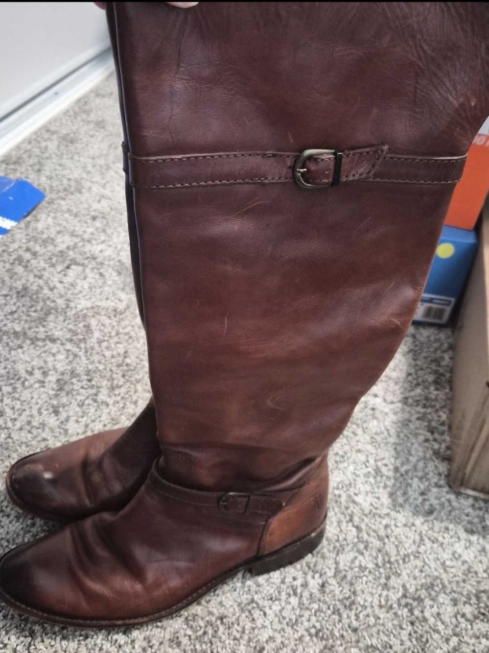 Frye Women's Tall Riding Boots in Chestnut Brown